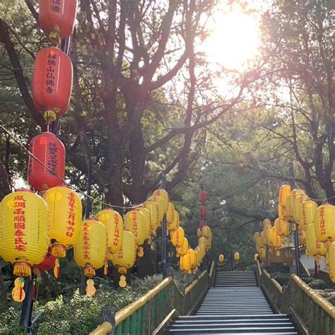 禪機山仙佛寺|禪機山仙佛寺｜南投國姓景點/必拍五百羅漢IG拍照景點(交通開放 